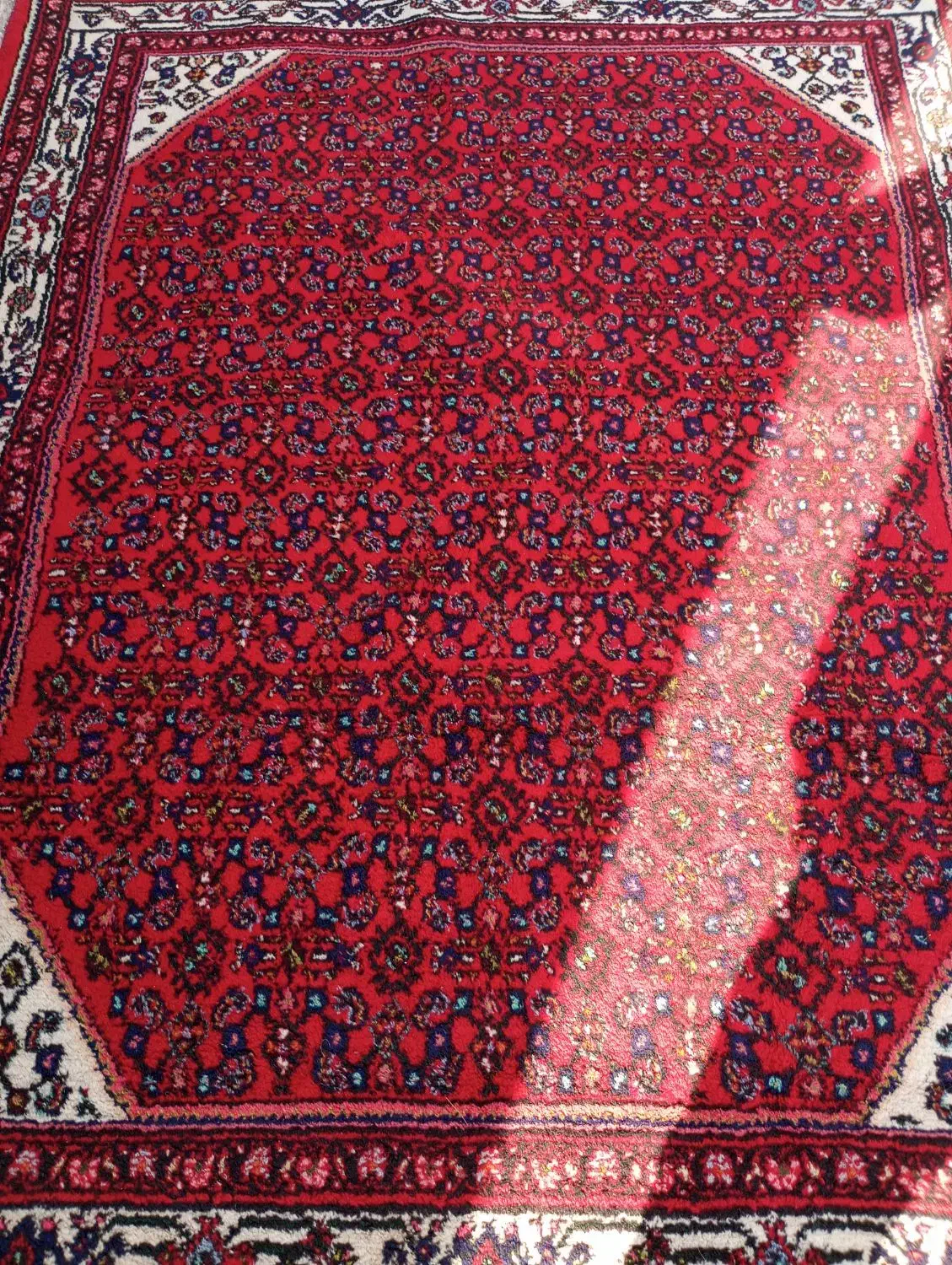 دوعددقالیچه همدان|فرش|بهارستان, |دیوار