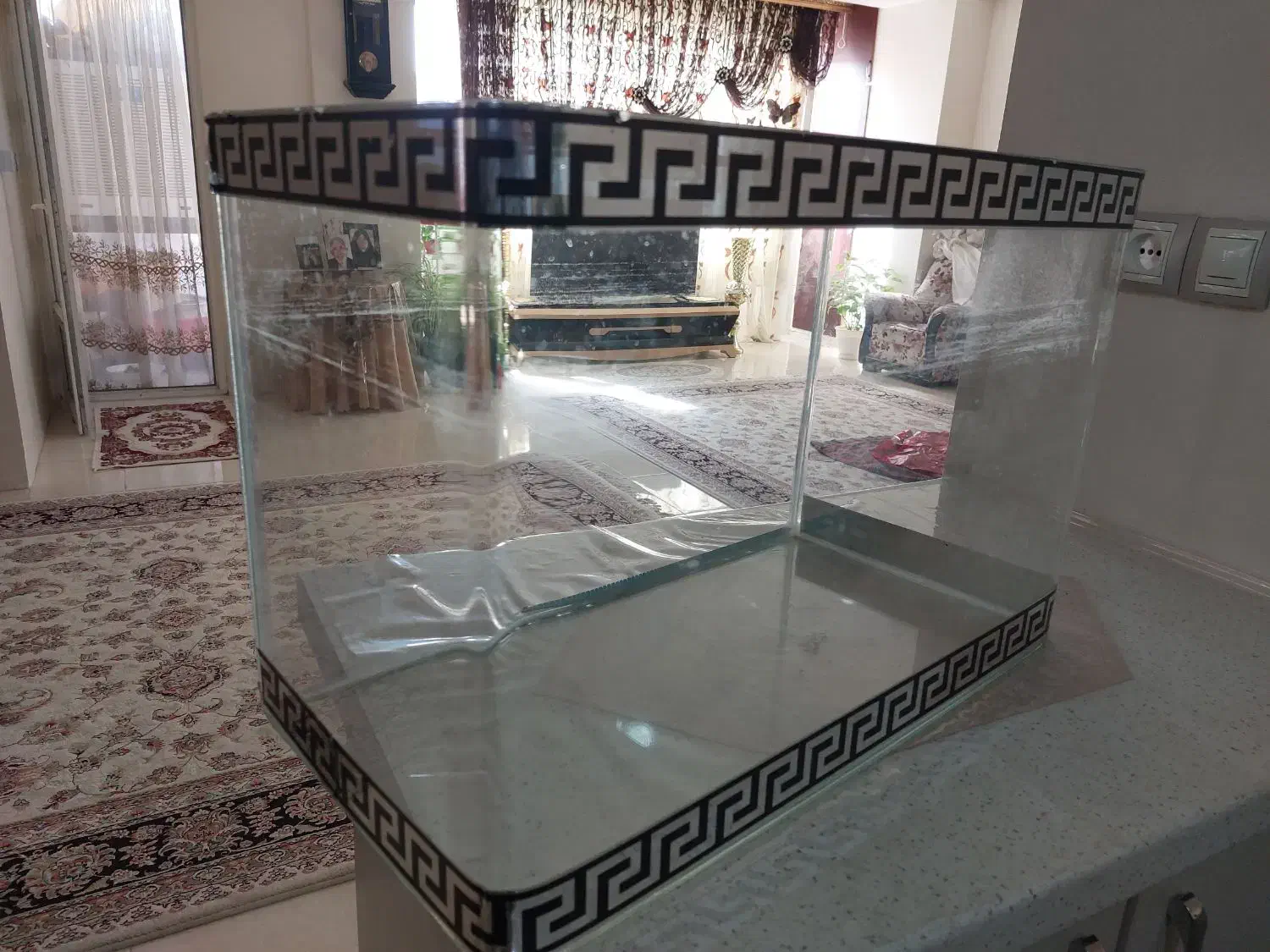 آگواریوم شیشه خم|ماهی|فردیس, منظریه|دیوار