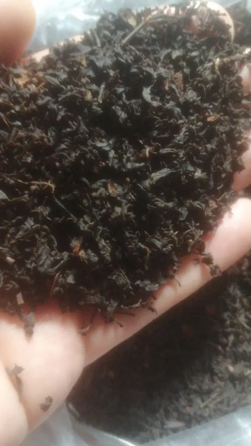 چای بهاره ممتاز 1404|خوردنی و آشامیدنی|رشت, سعدی (تختی)|دیوار