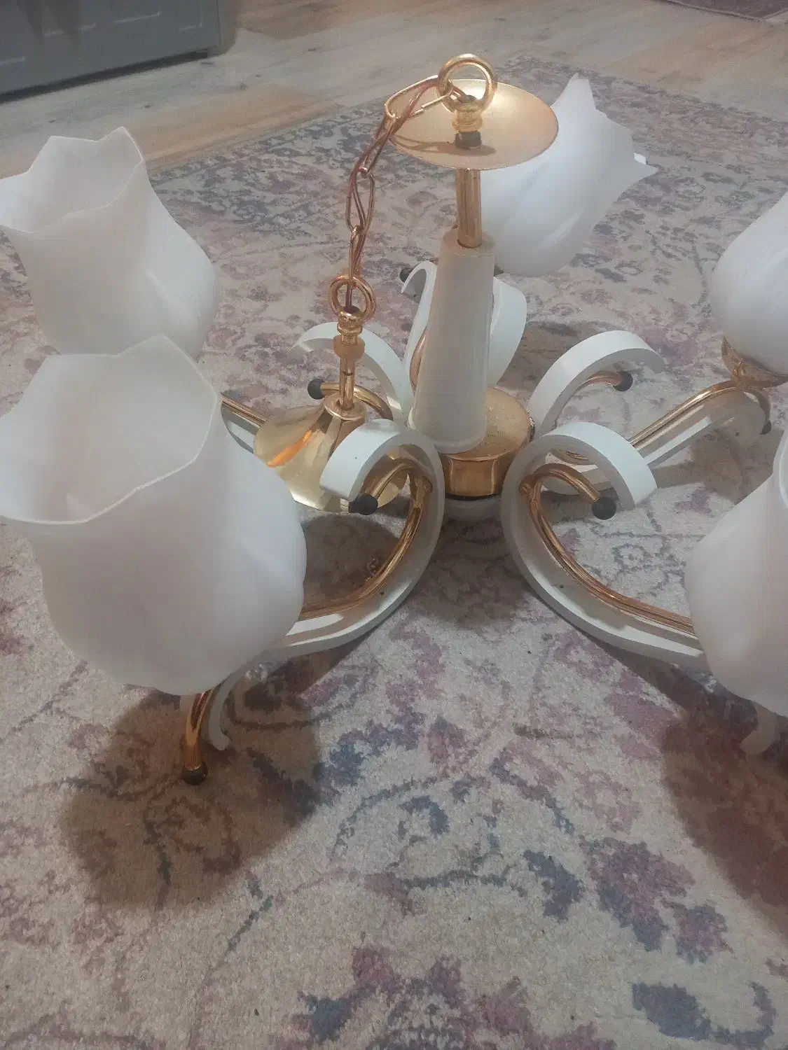 لوستر۵شعله لاله سالم|لوستر و چراغ آویز|تهران, سبلان (لشگر)|دیوار