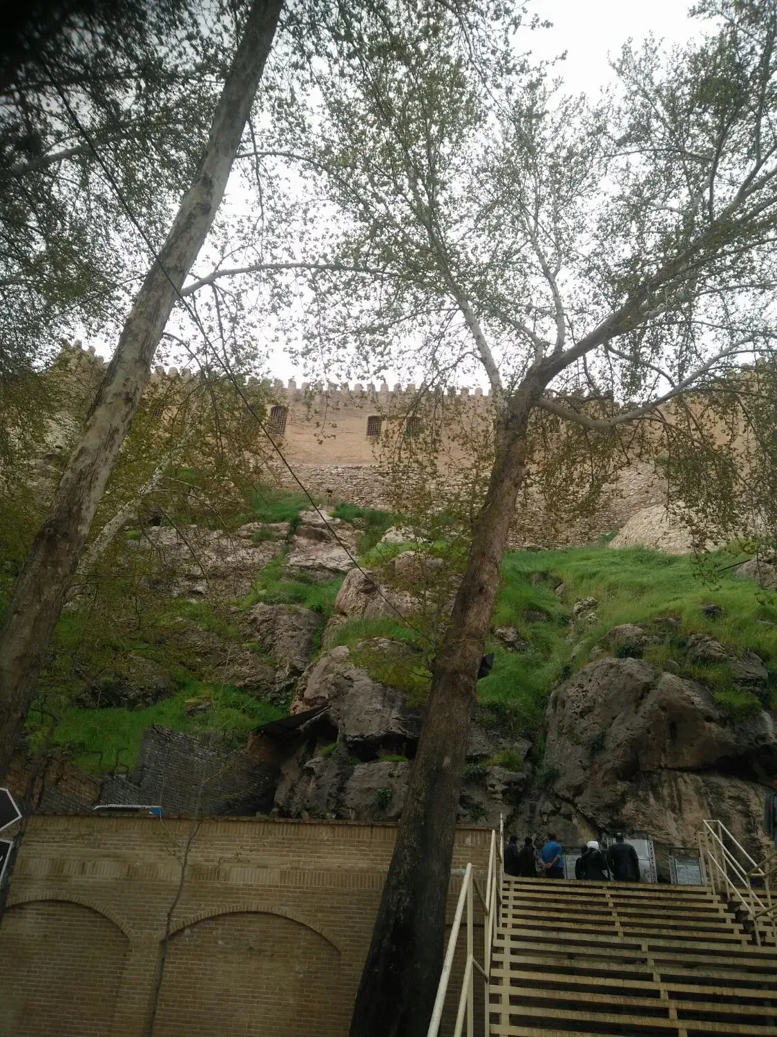 گندم دیم اصلاح شده|خدمات باغبانی و درختکاری|سربند, |دیوار