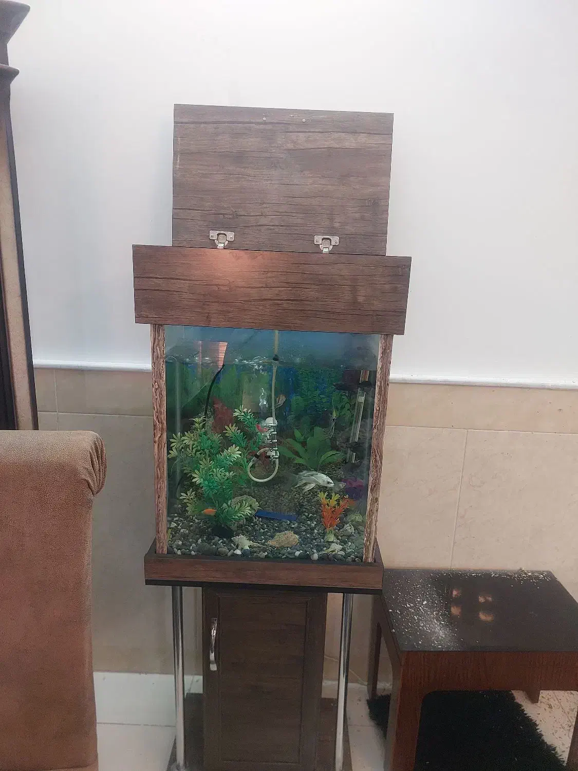 آکواریوم کمدی باماهی وپمپ|ماهی|قم, باغ کرباسی|دیوار