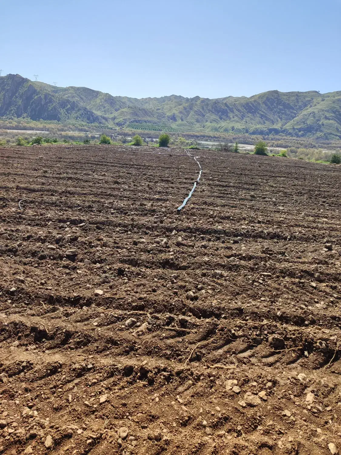 زمین کشاورزی اب شخصی|فروش زمین و ملک کلنگی|بوستان, |دیوار