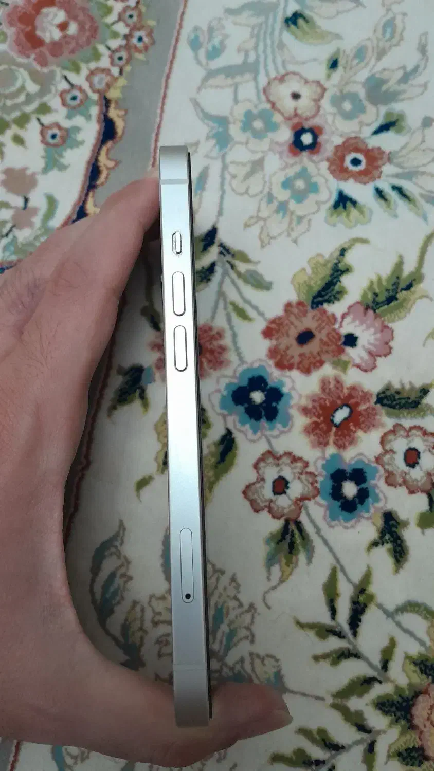 iPhone 13|موبایل|تهران, فدک|دیوار