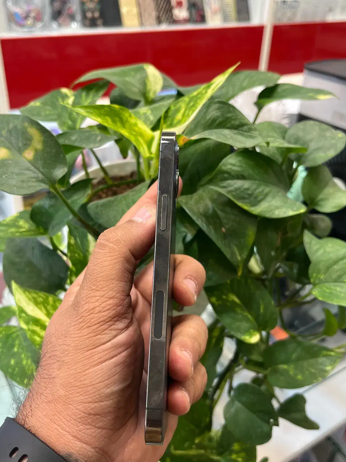 Iphone 12pro|موبایل|شیراز, زند|دیوار
