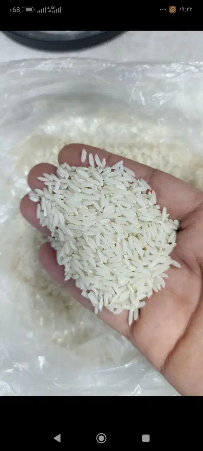 برنج محلی طارم هاشمی بروجرد|خوردنی و آشامیدنی|تهران, مشیریه|دیوار