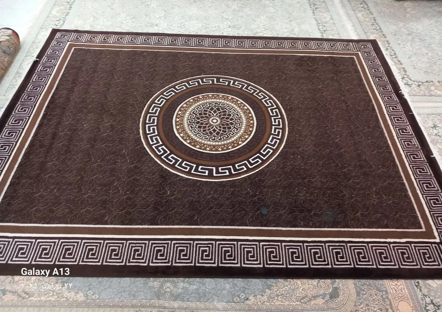 گلیم فرش پرز دار ۱۲ متری|فرش|الیگودرز, |دیوار