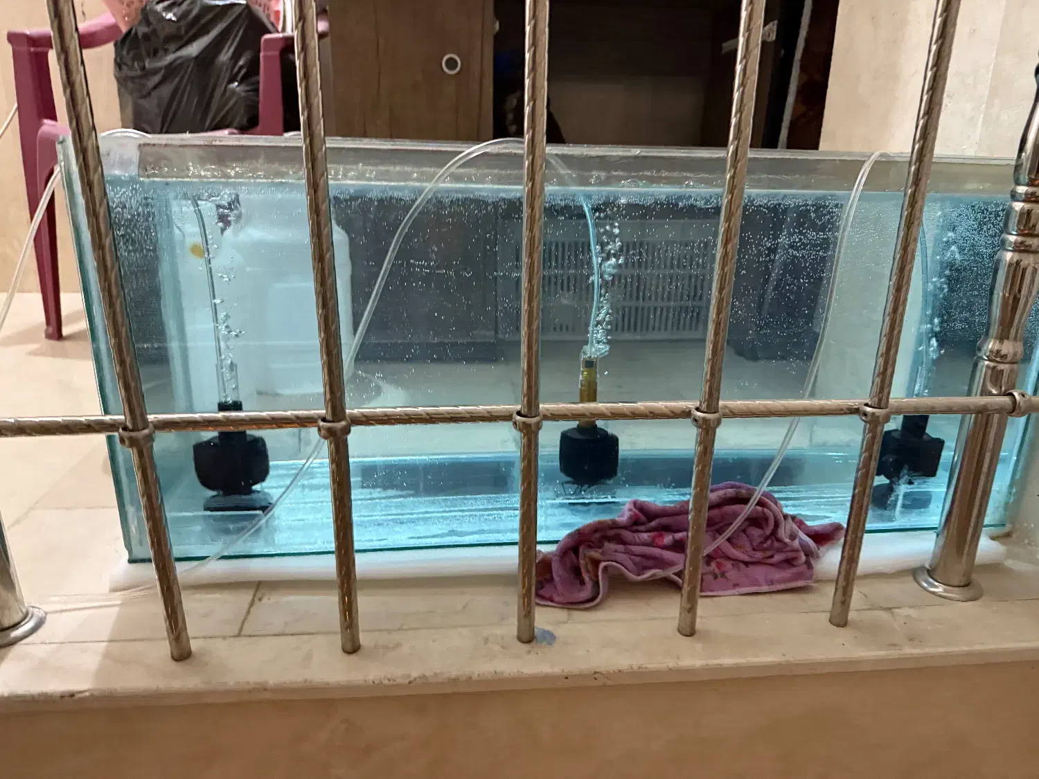 آکواریوم|ماهی|مرودشت, تامین اجتماعی‎|دیوار