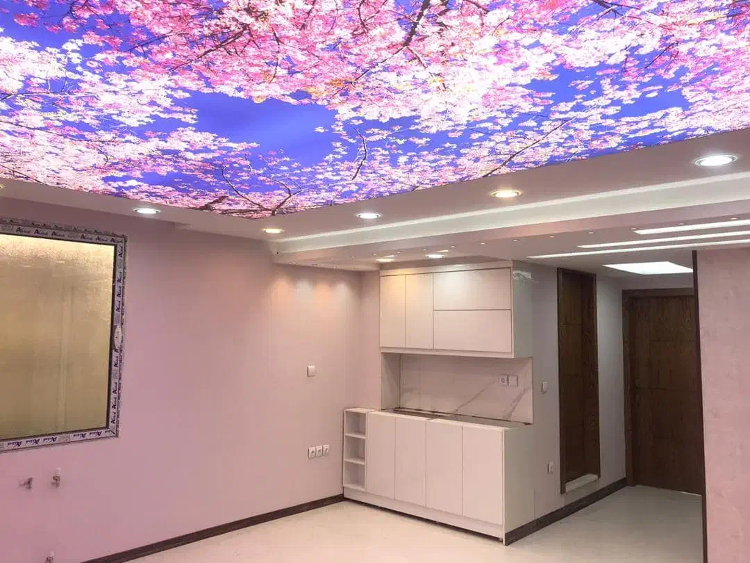 اجرا سقف کاذب|خدمات پیشه و مهارت|کوهدشت, |دیوار