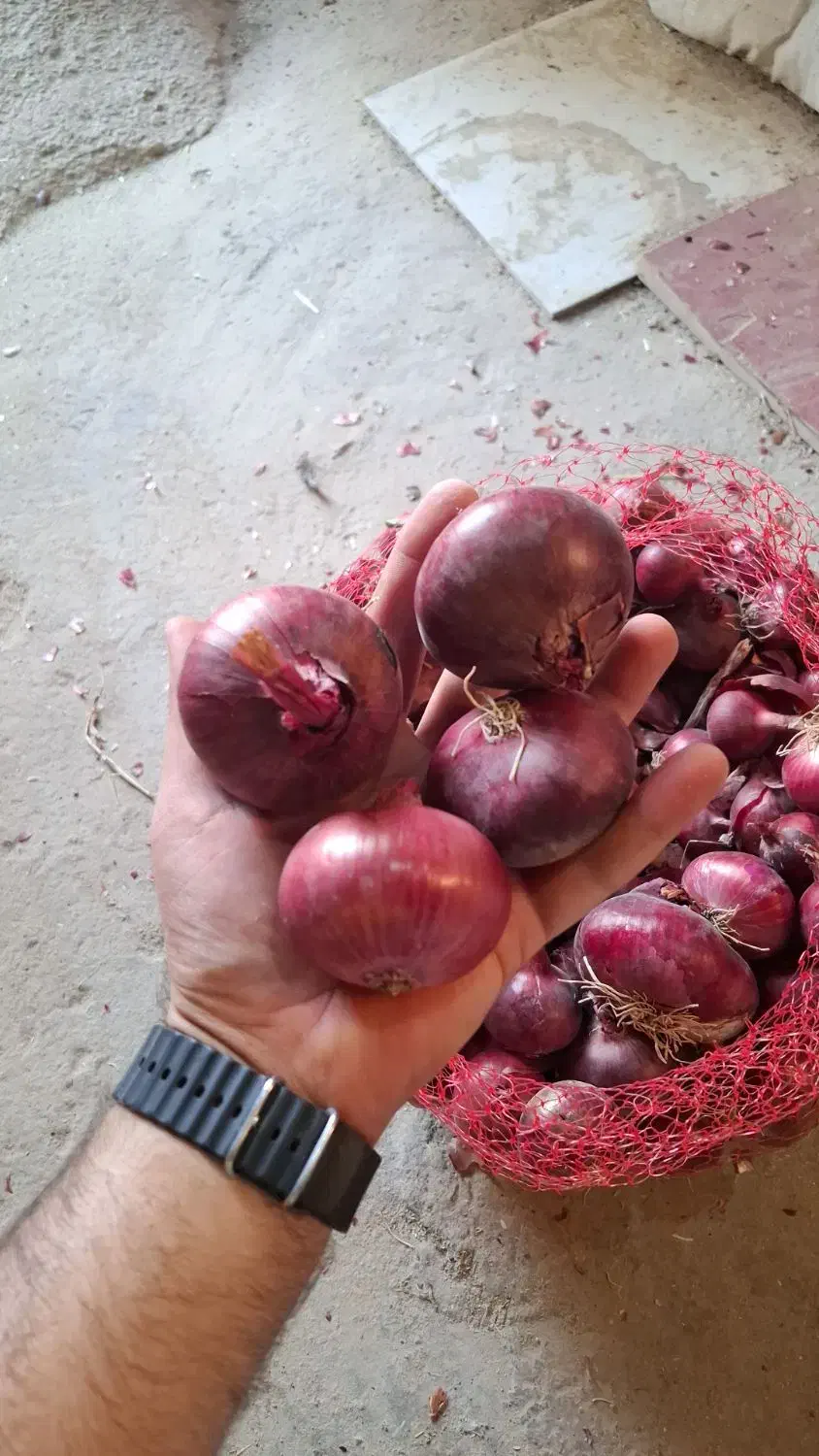 فروش پیاز قرمز|خوردنی و آشامیدنی|دشتابی, |دیوار