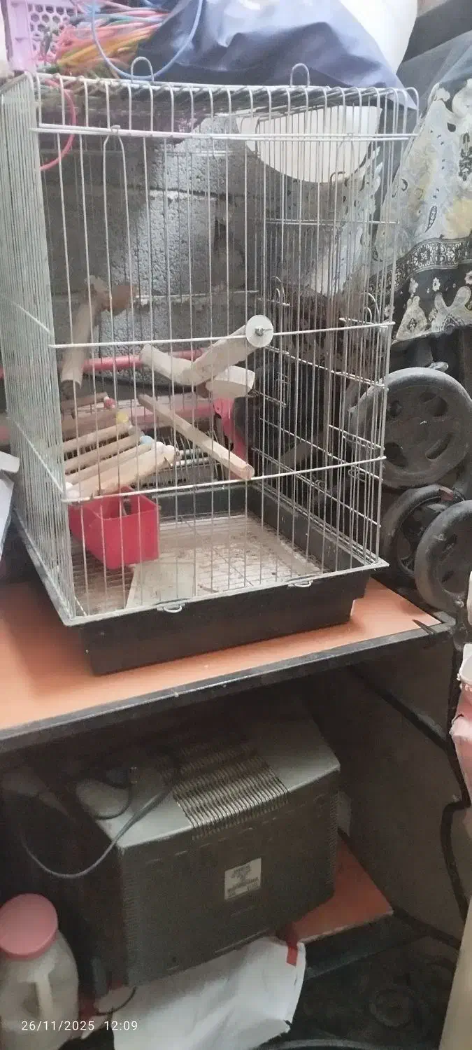 قفس پرنده|لوازم جانبی حیوانات|محمودآباد, |دیوار