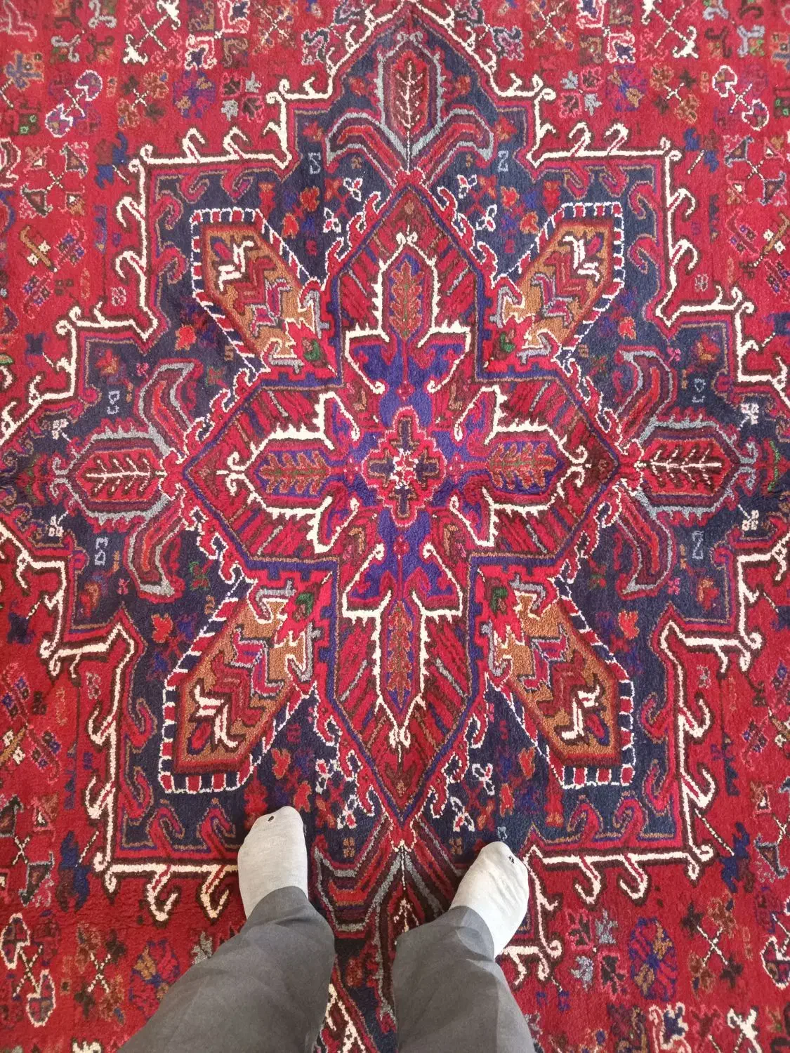 فرش دست باف|فرش|بستان آباد, |دیوار