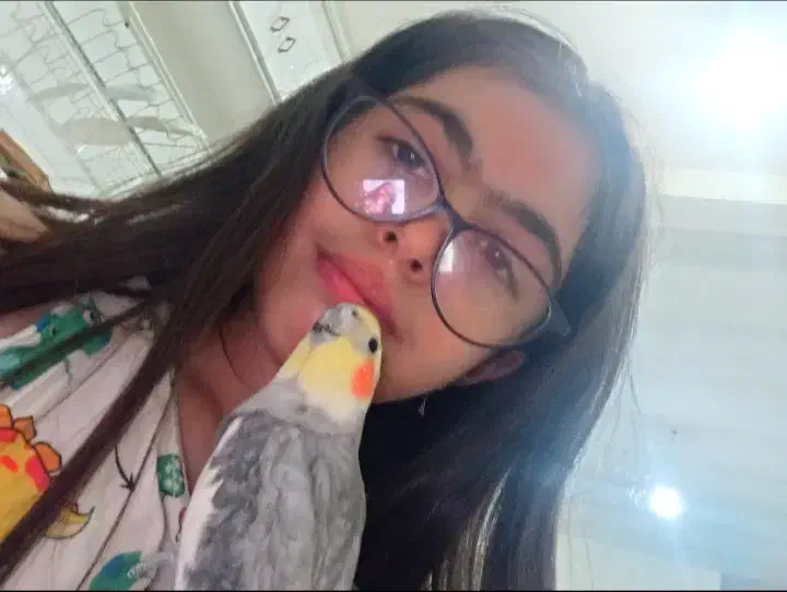 عروس هلندی گم شده|حیوانات|خمین, |دیوار