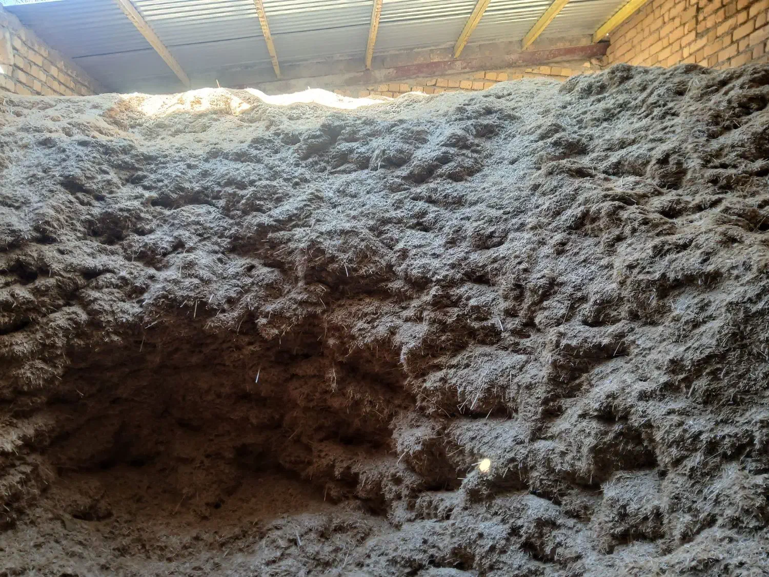 کاه گندم دیم|لوازم جانبی حیوانات|بیرانوند, |دیوار