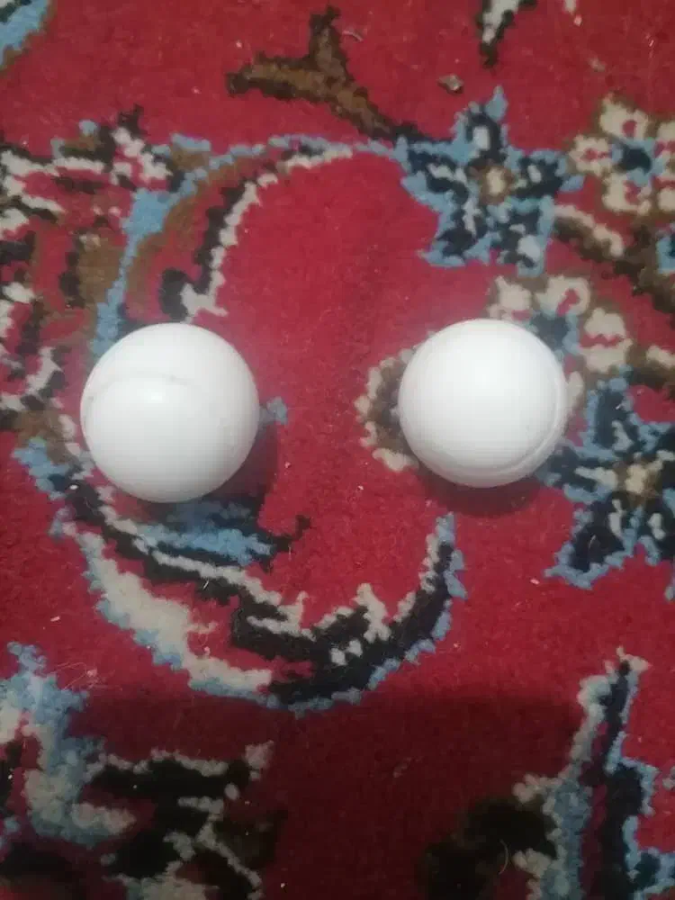 سنگ|کلکسیون اشیاء عتیقه|بندرعباس, |دیوار