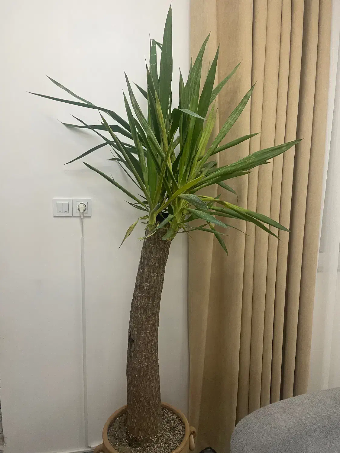 آپارتمان فروشی|فروش آپارتمان|کرج, محمود آباد|دیوار