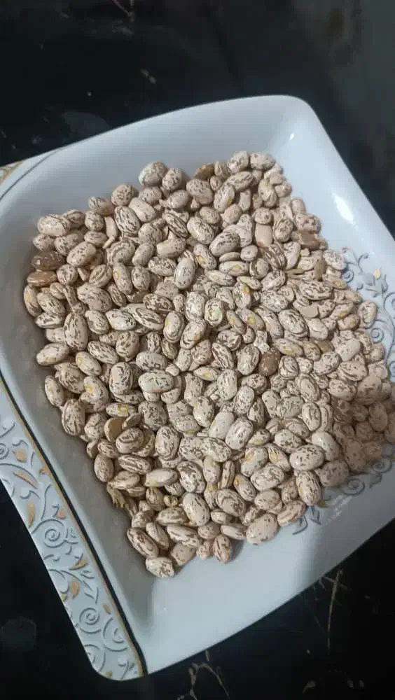 لوبیا چیتی|خوردنی و آشامیدنی|دهلران, |دیوار