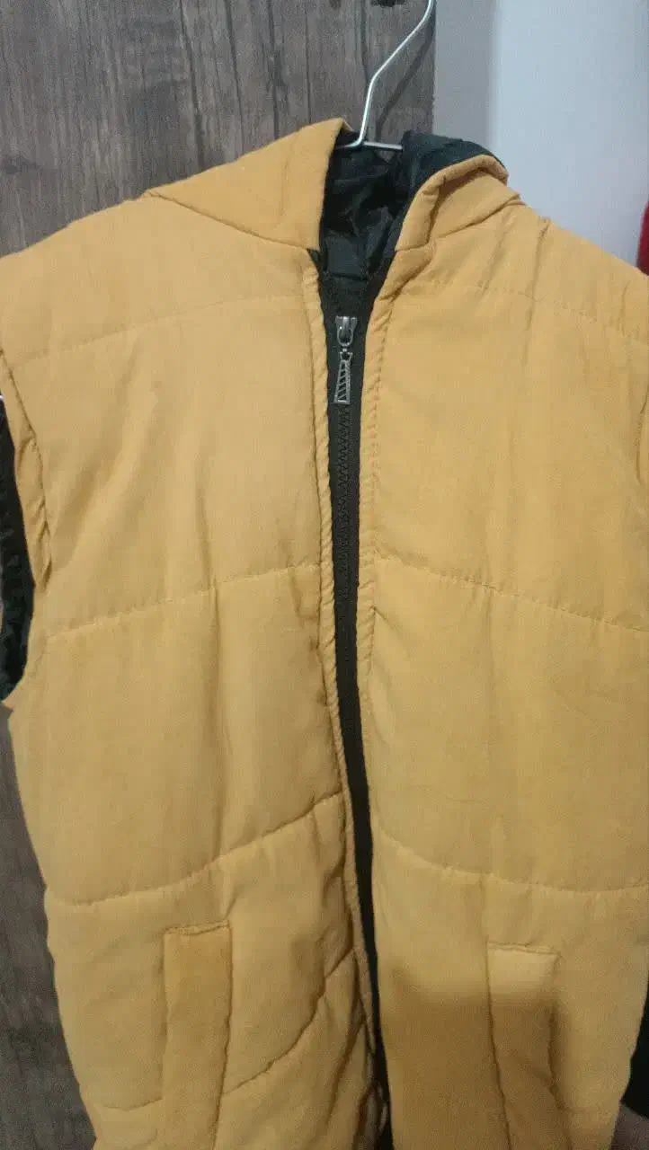 پافر زنانه|لباس|شاهرود, |دیوار