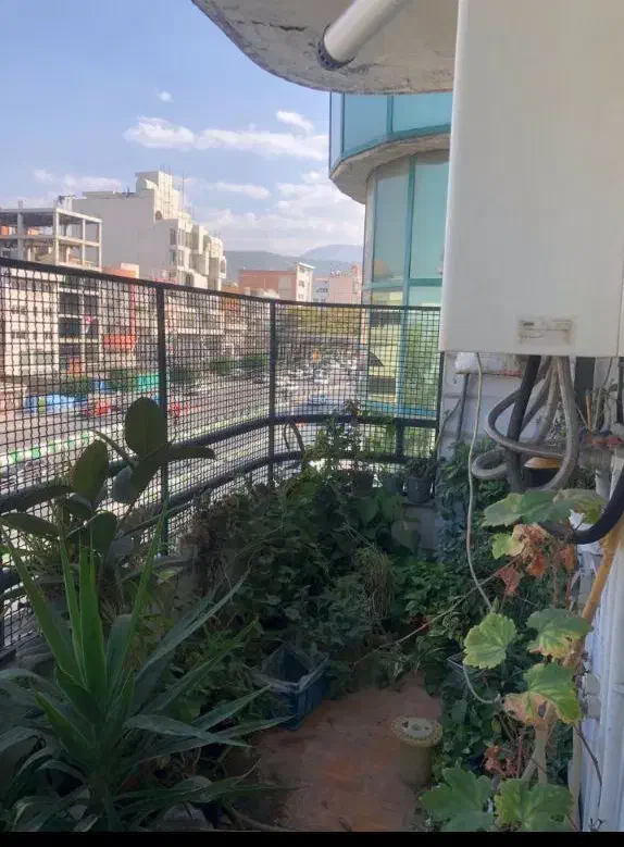 آپارتمان ۱۳۰متری/براصلی ناهارخوران/2872|اجارهٔ آپارتمان|گرگان, |دیوار