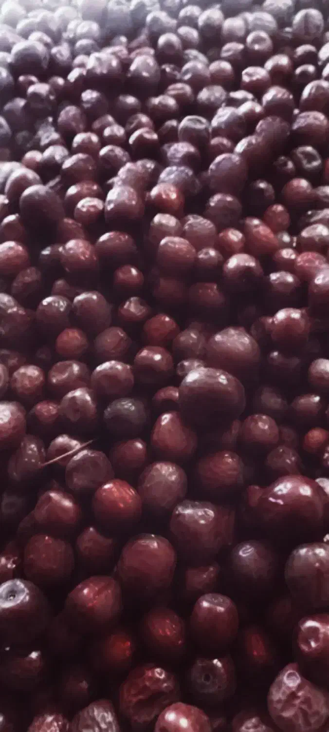 ۳ تن عناب فوق العاده درجه یک تازه بیرجند|خوردنی و آشامیدنی|جلگه ماژان, |دیوار