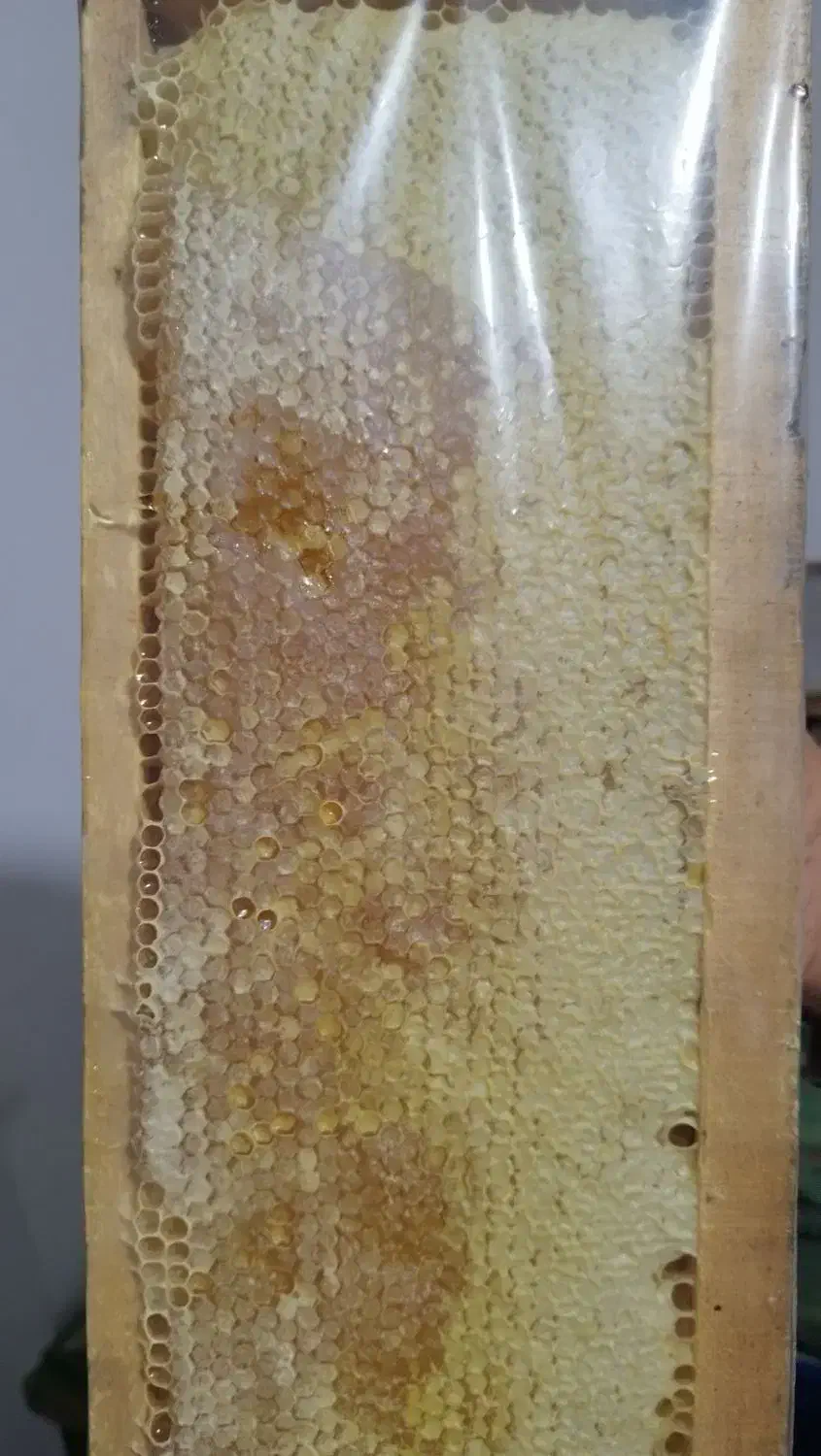 عسل طبیعی ودرمانی|آرایشی، بهداشتی، درمانی|آبش احمد, |دیوار