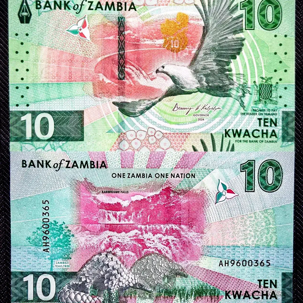 اسکناس کواچای زامبیا|کلکسیون سکه، تمبر، اسکناس|تبریز, |دیوار