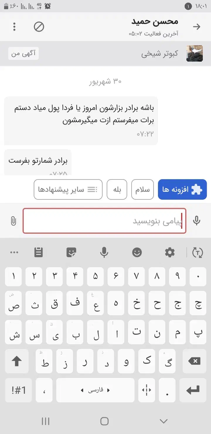 کبوتر رنگی دوکت|پرنده|بندر ماهشهر, |دیوار