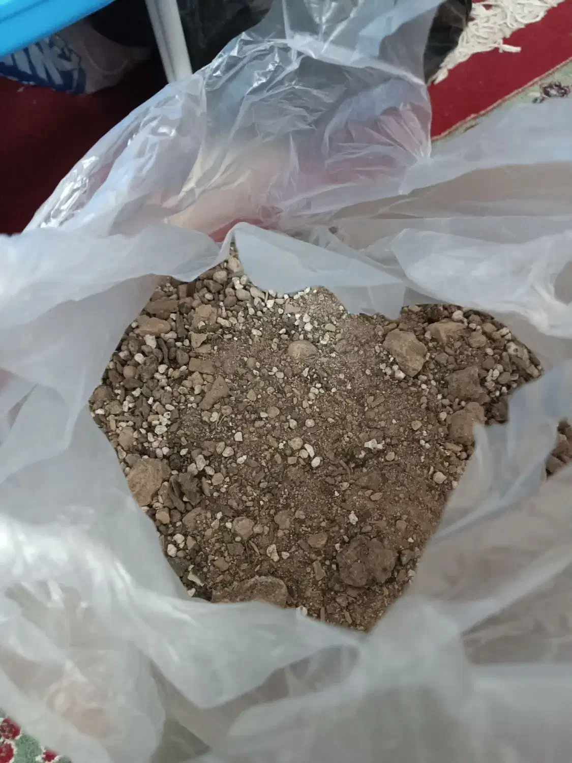 خاک باغچه|گل و گیاه طبیعی|قم, باغ کرباسی|دیوار