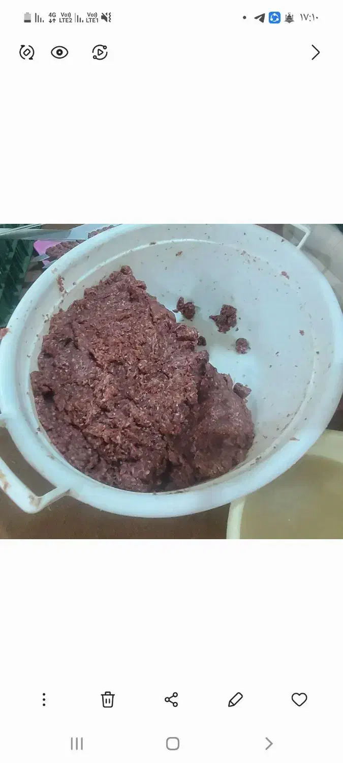 پخت کوبیده با حرارت ذغال پذیرفته میشود|خوردنی و آشامیدنی|آزادشهر, |دیوار