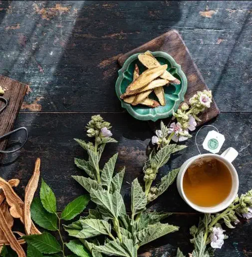 درمان گیاهی و طبیعی و موثر مناسب اکثر بیماری ها|خوردنی و آشامیدنی|یزد, |دیوار