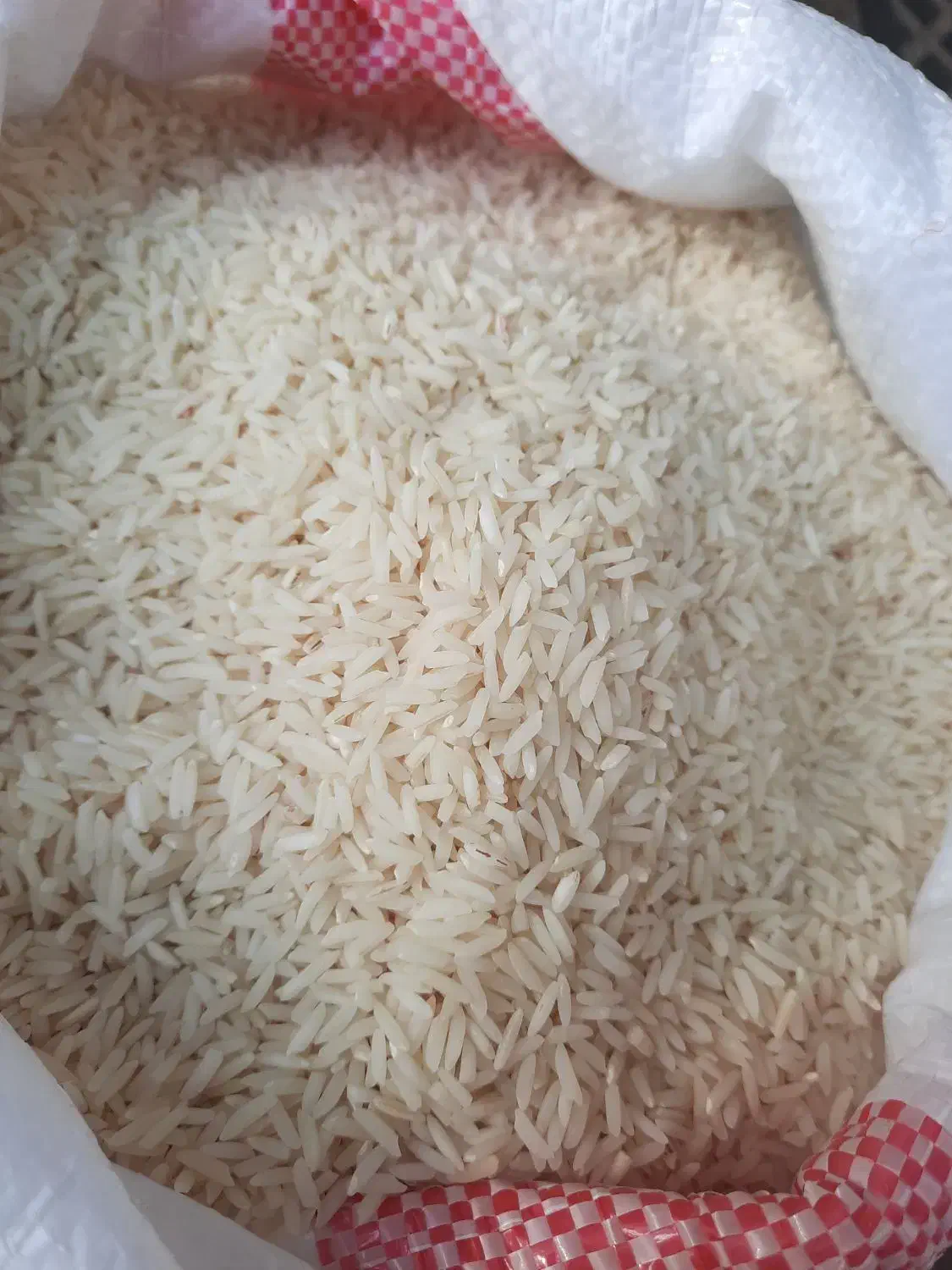 برنج هاشمی آستانه امساله|عمده‌فروشی|لاهیجان, بازکیاگوراب|دیوار