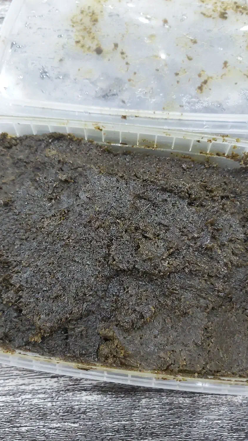 سبزی سرخ شده|خوردنی و آشامیدنی|رشت, حمیدیان|دیوار