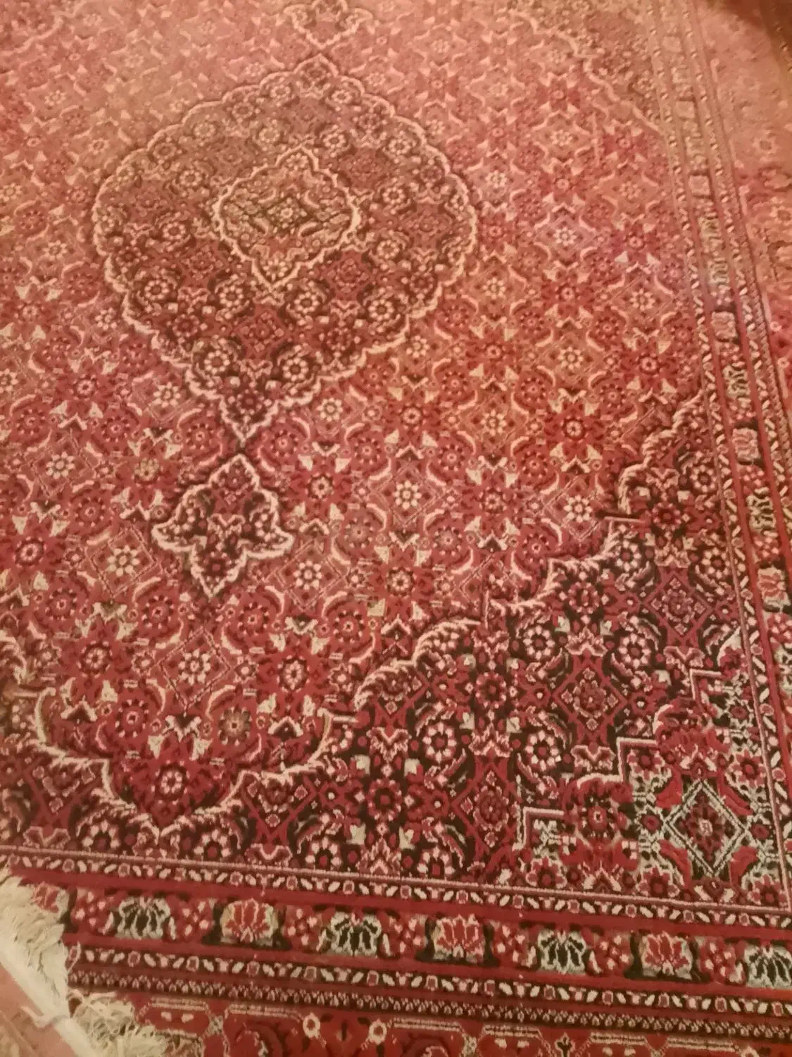 فرش درحد|فرش|چابهار, |دیوار