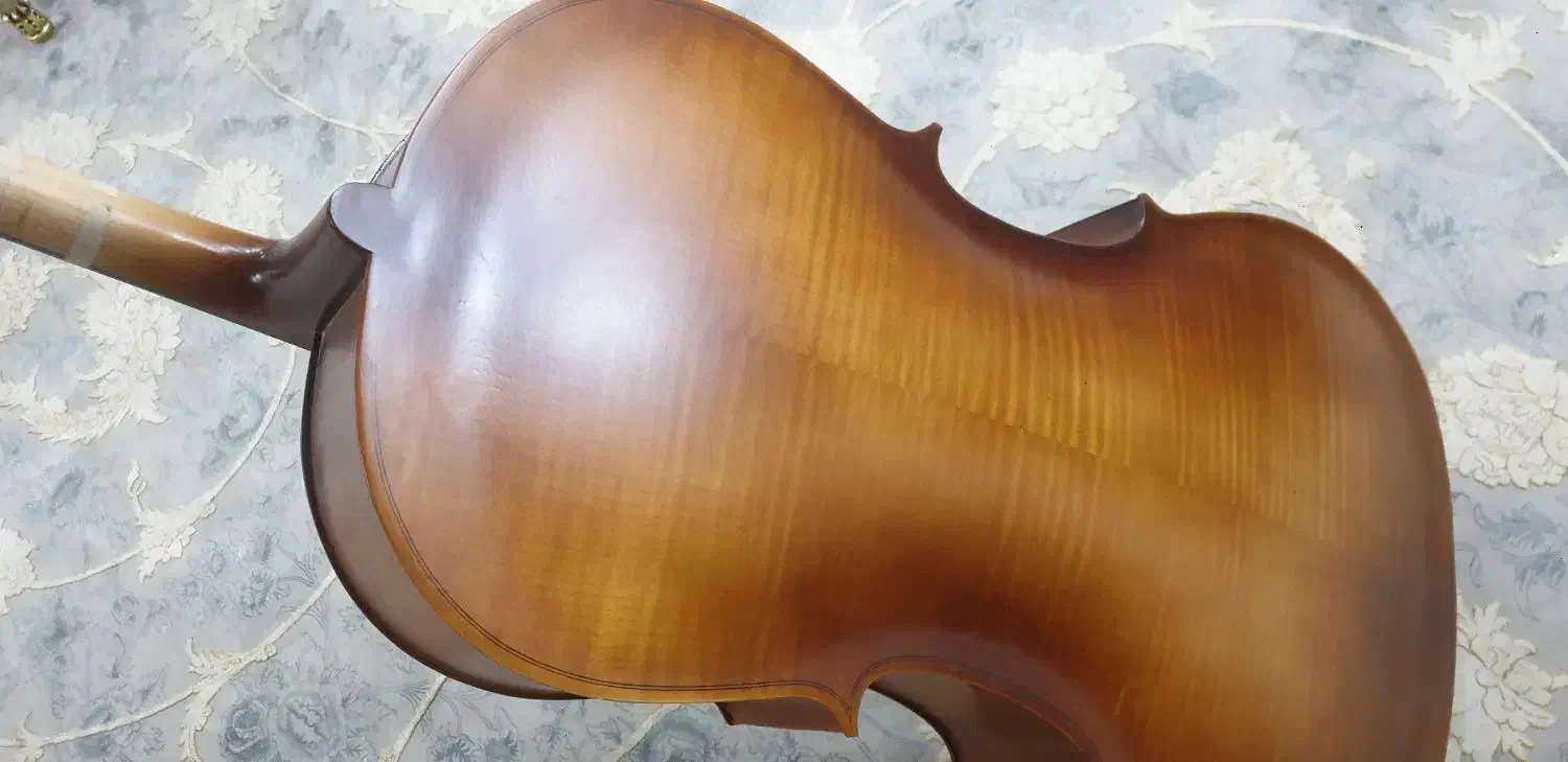 ویولنسل ویلن سل ۴/۴|ویولن|اهواز, کمپلو شمالی|دیوار