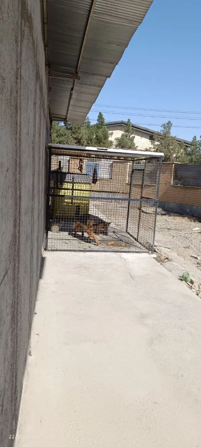 قفس سگ|لوازم جانبی حیوانات|رباطکریم, شهرک صنعتی نصیرآباد|دیوار