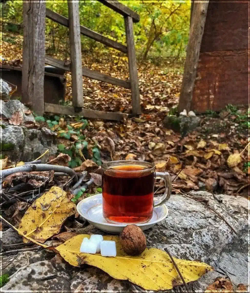 همفکری|فعالیت داوطلبانه تحقیقاتی|قم, الوندیه و گذر صادق|دیوار