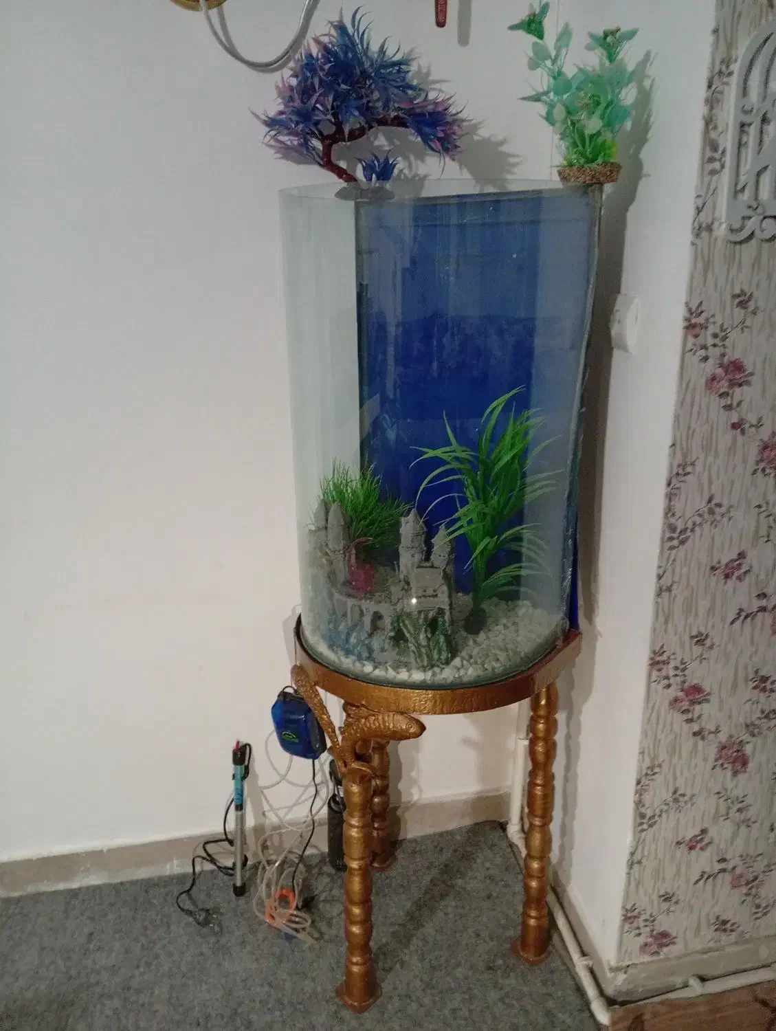 فروش آکواریوم با تمامی وسایل|ماهی|بروجرد, |دیوار