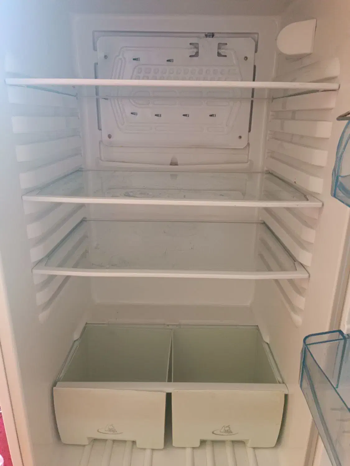 یخچال تمیز بدون خط و خش|یخچال و فریزر|اصفهان, شاهد|دیوار