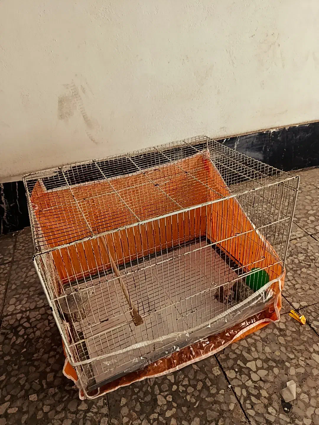 قفس  پرنده|لوازم جانبی حیوانات|قدس, شهر‌قدس|دیوار