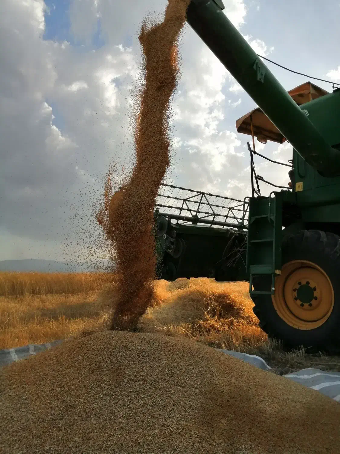 جو تمیز|عمده‌فروشی|مشگین شهر, |دیوار