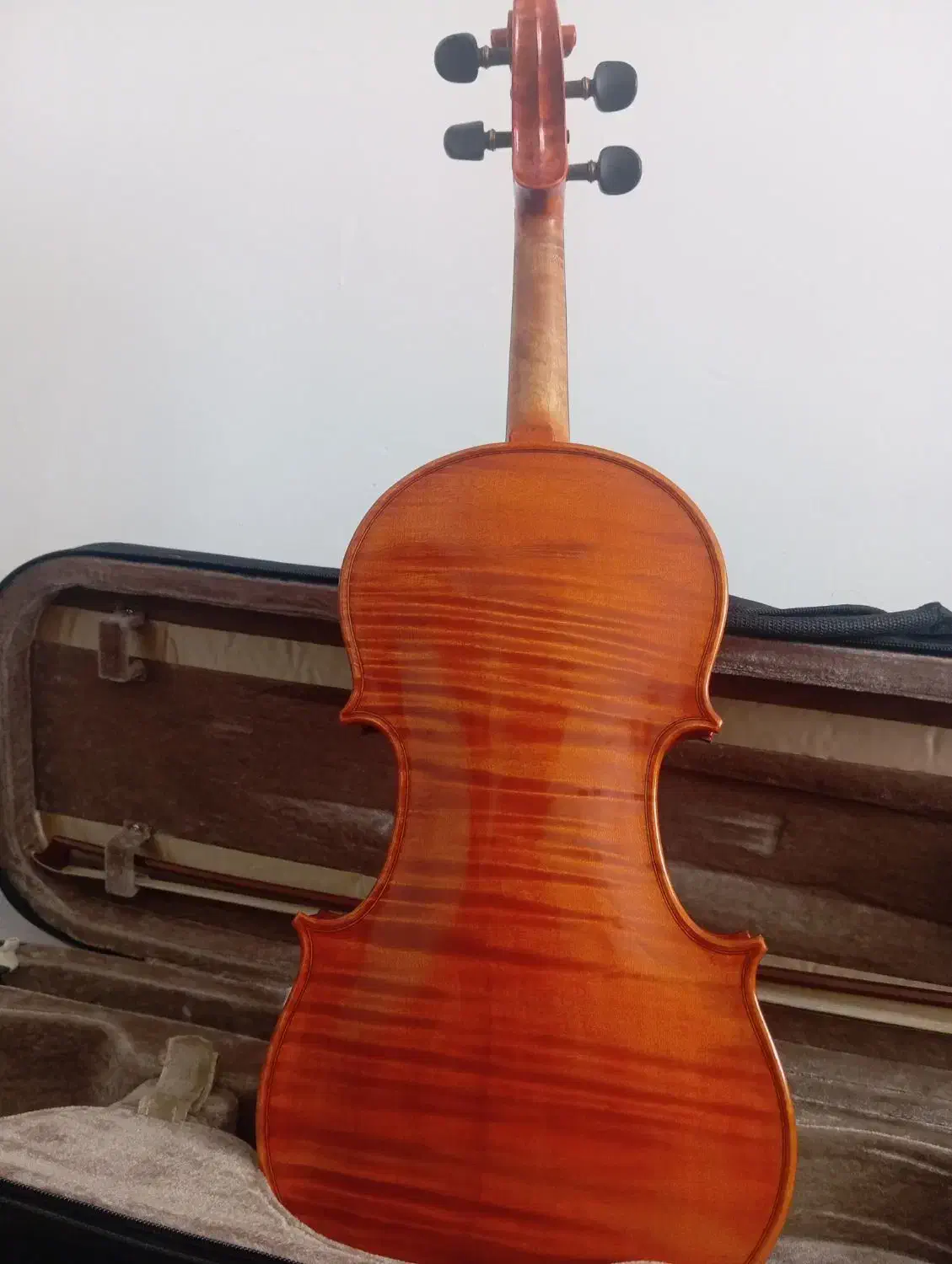 ویولن حرفه ای tf 800|ویولن|کرمانشاه, |دیوار