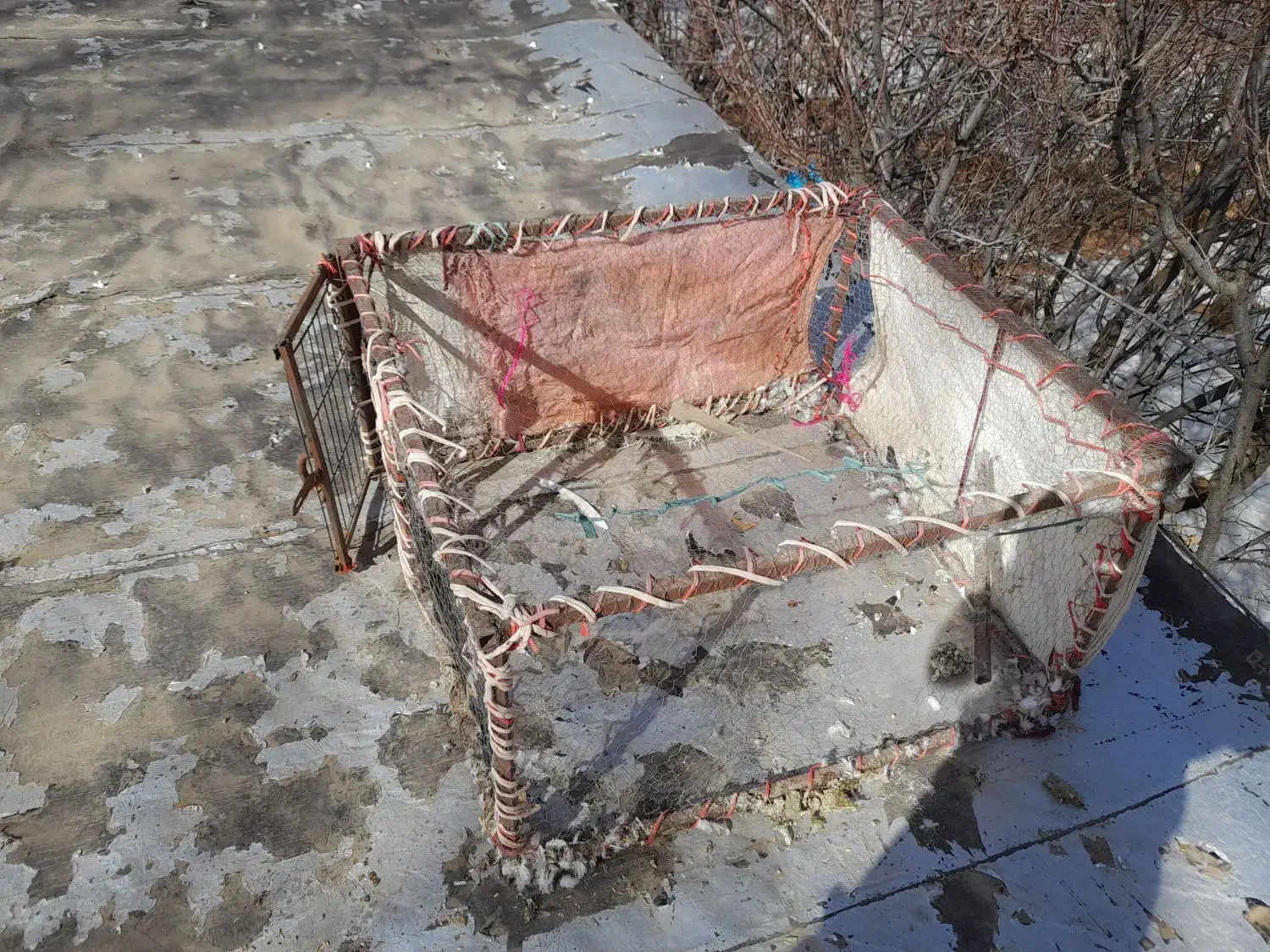 گنجه کفتر و مرغ|لوازم جانبی حیوانات|خوانسار, |دیوار