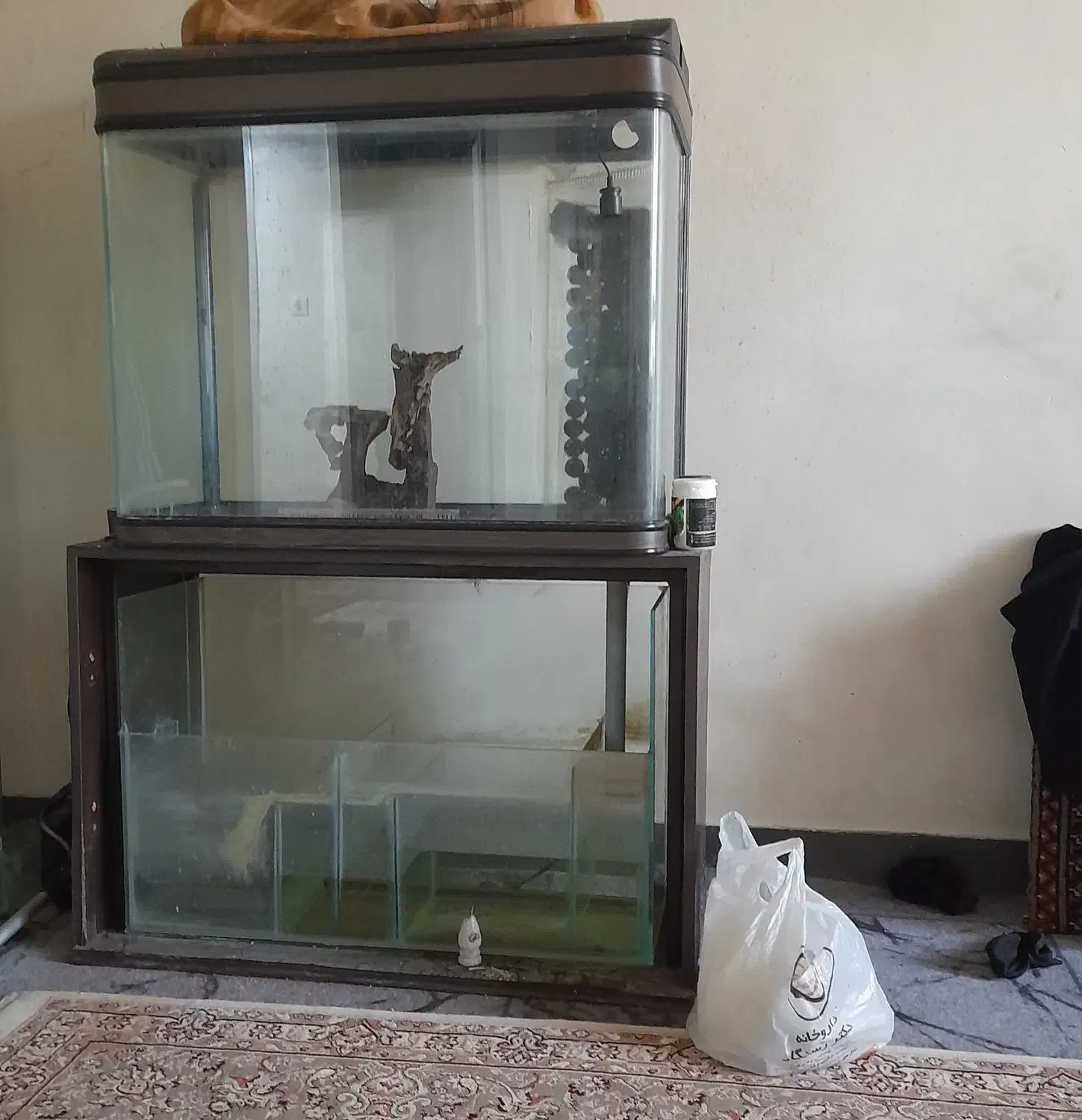 فروش آکواریوم شرکتی|ماهی|شیراز, رازی|دیوار