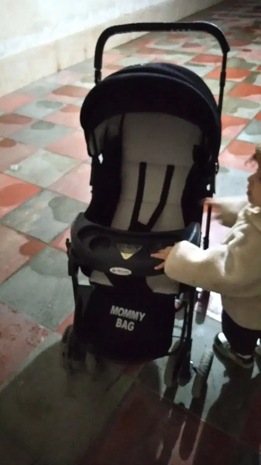 کالسکه|کالسکه و لوازم جانبی|آبیک, |دیوار