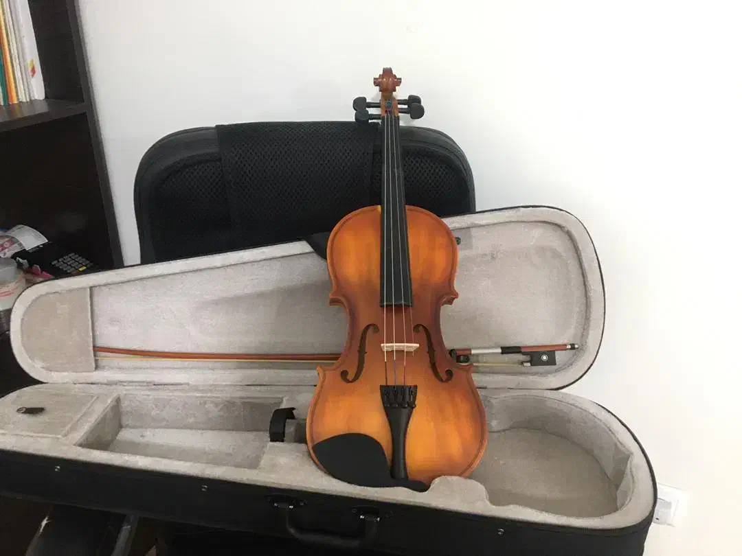 ویولن|ویولن|کرج, برغان|دیوار