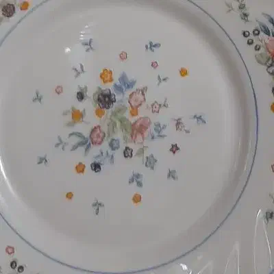 یک عدد بشقاب گود و۴تا پیش دستی|ظروف سرو و پذیرایی|ارومیه, |دیوار