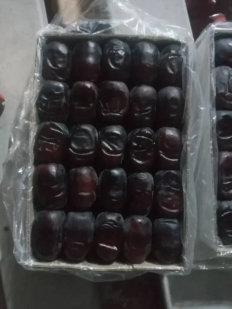 فروش خرمای درجه یک و ناب بلوچستان|خوردنی و آشامیدنی|سراوان, |دیوار