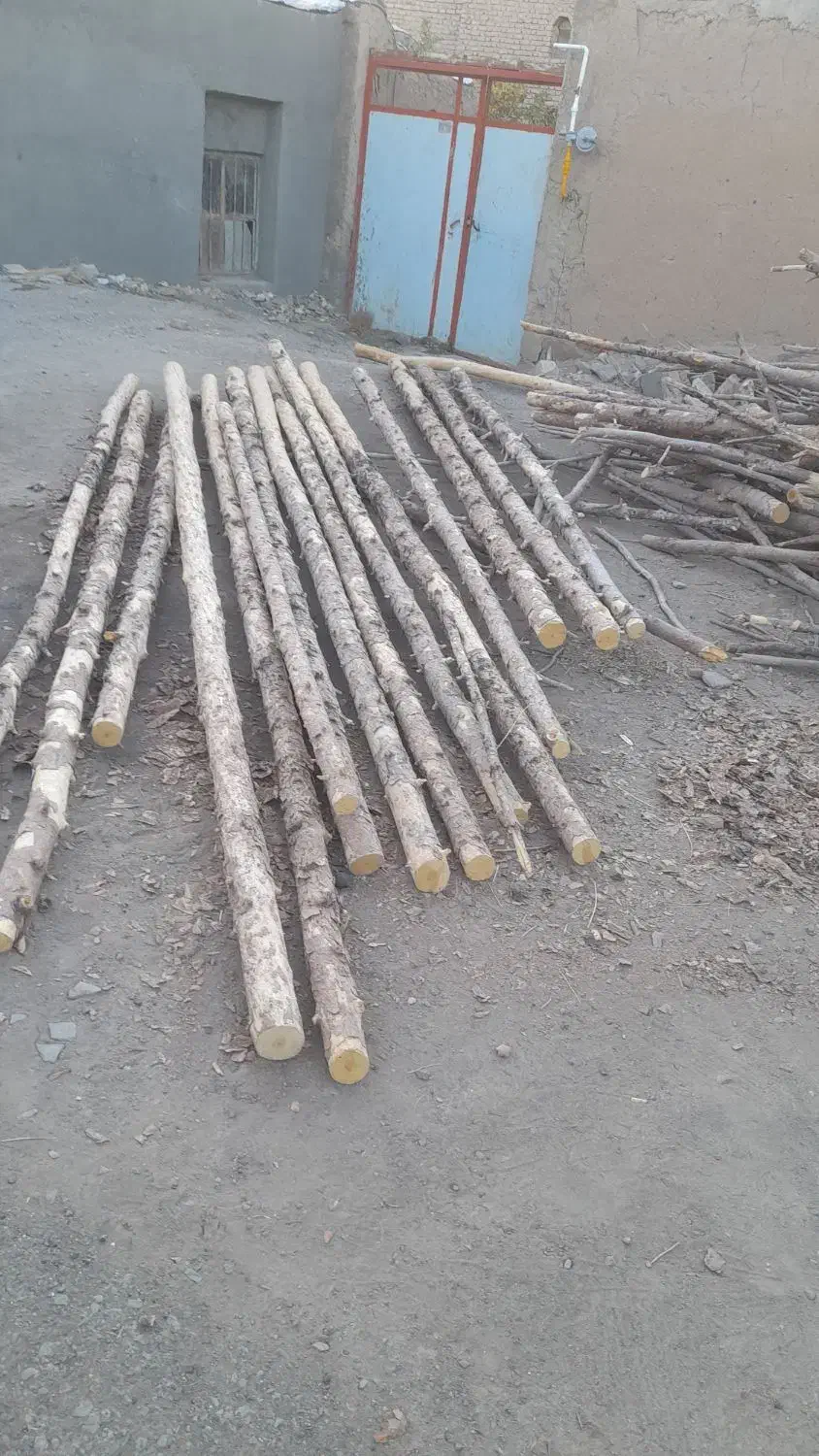 چوب تالار زرشک|خدمات باغبانی و درختکاری|سده (خراسان جنوبی), |دیوار