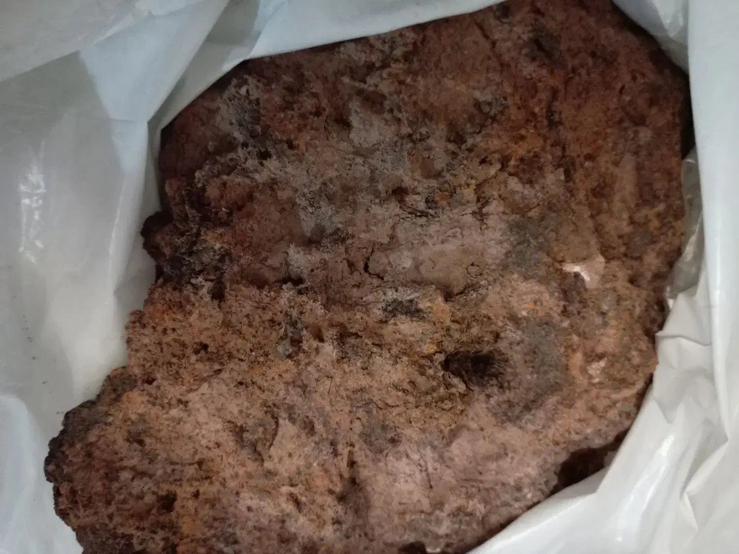 سلام عرض ادب و ارادت خدمت شما سنگ قیمتی در حفاری|کلکسیون اشیاء عتیقه|چناران, |دیوار