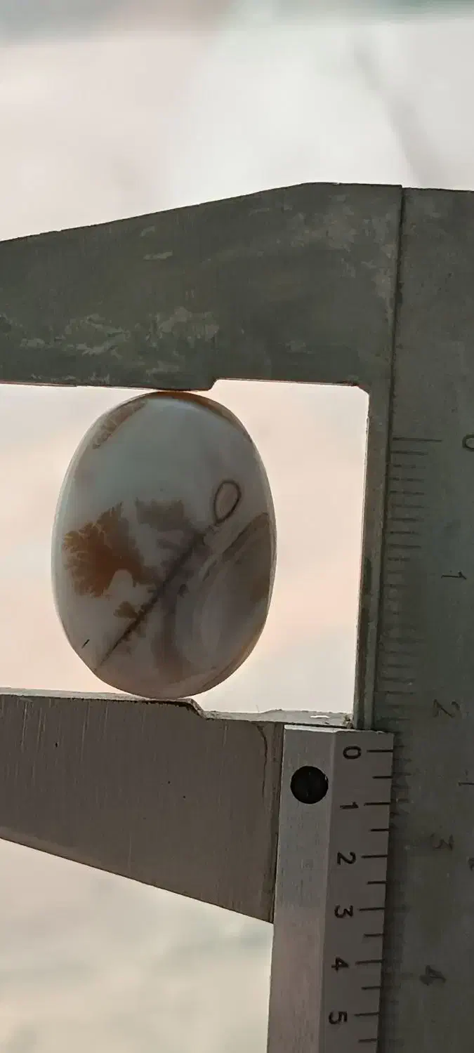 سنگ شجر شجر تک درخت|جواهرات|سلماس, |دیوار